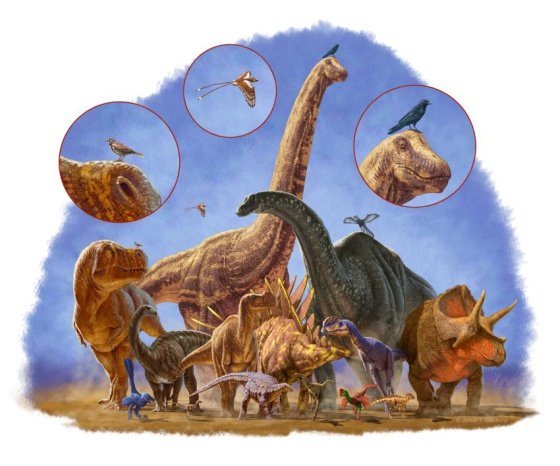 El abanico de tamaños de los dinosaurios era enorme. / JULIUS CSOTONYI