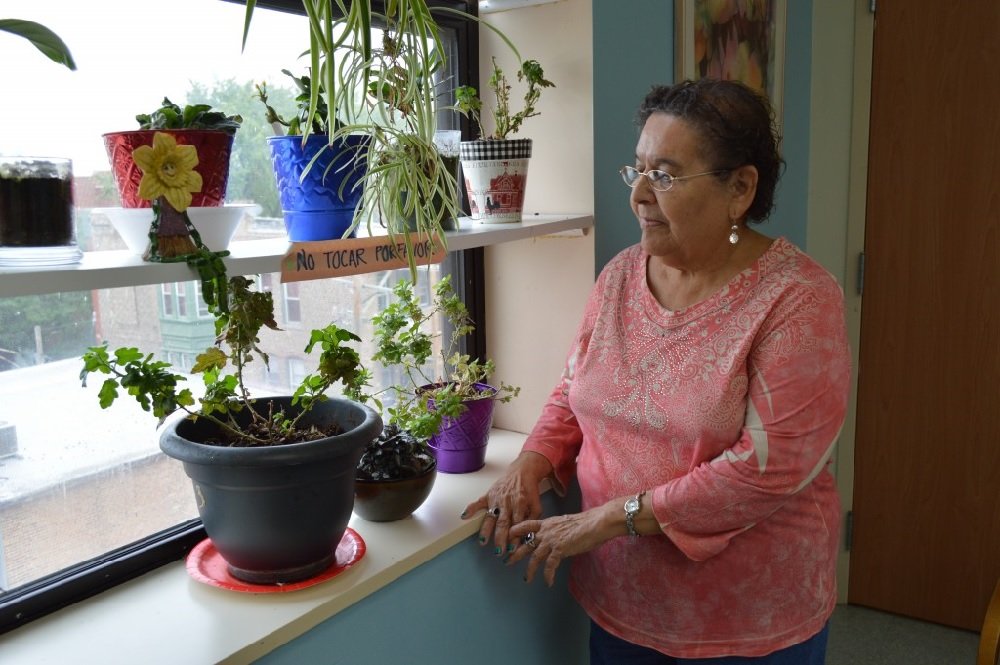 La señora Yolanda, una hondureña de 77 años, es viuda y madre de siete hijos. Vive sola en un pequeño apartamento en Chicago subsidiado por el gobierno.