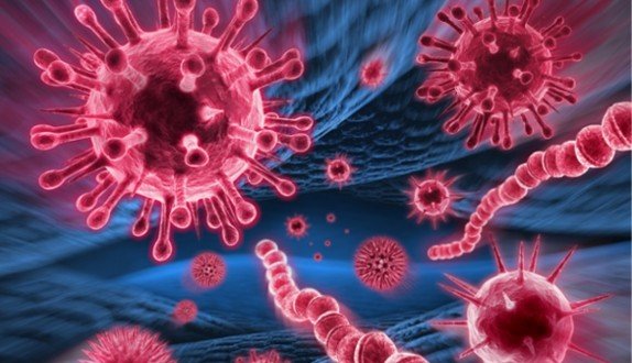 LACTOFERRINA-574x330