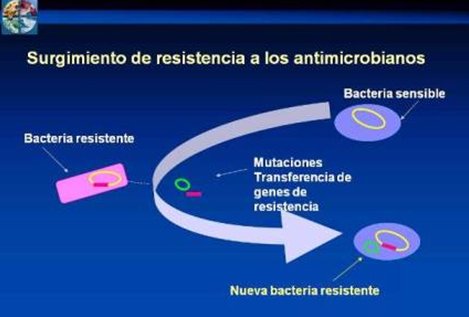 resistencia_antimicrobianos