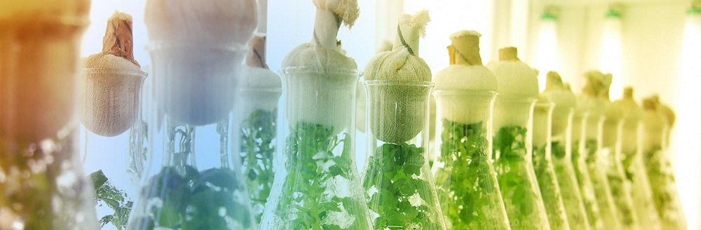 Fortalecerá México la cooperación y la innovación en Biotecnología