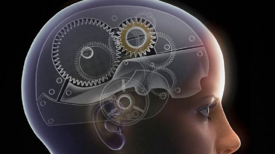 James T. Becker recibe el Premio Joan Boada & Mercè Rovira por su investigación sobre Alzheimer