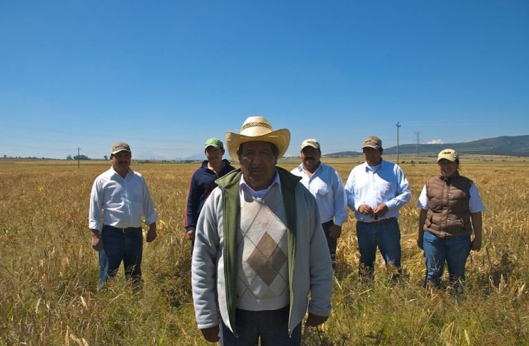 Los cuatro momentos más agro sustentables de  INCmty 2021