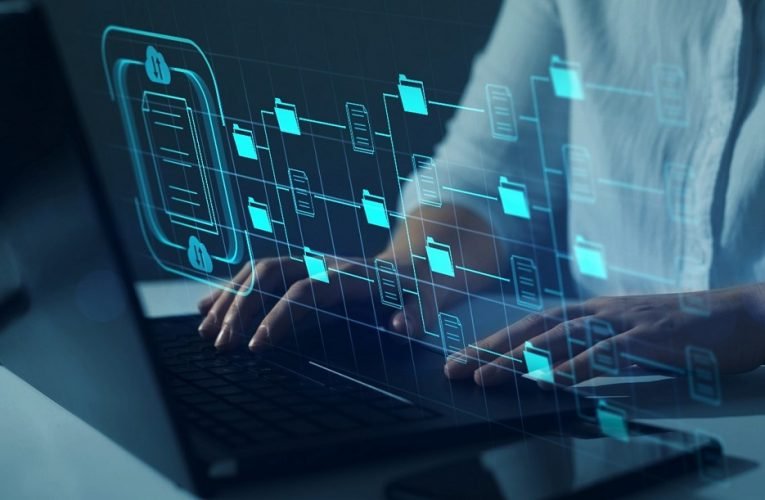 Gestión de datos: mantener, organizar y garantizar la seguridad de la información
