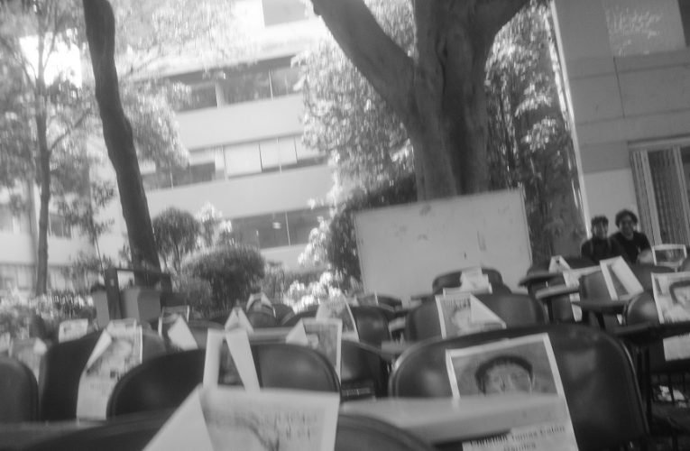Los derechos humanos elementos esenciales para la paz, estabilidad y desarrollo en la región