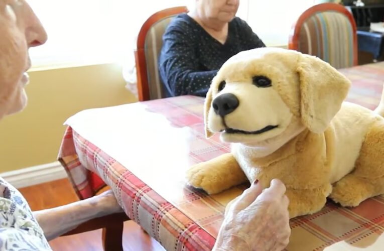 Jennie, el perro robótico que redefine el cuidado médico: qué beneficios terapéuticos aporta en personas mayores