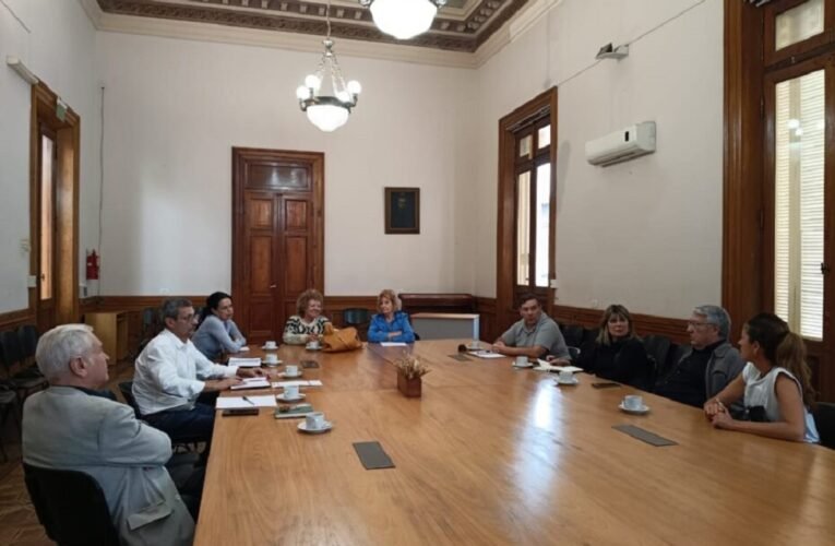 La Mesa de Trabajo de Personas Mayores de la UNLP realizó la primera reunión del año