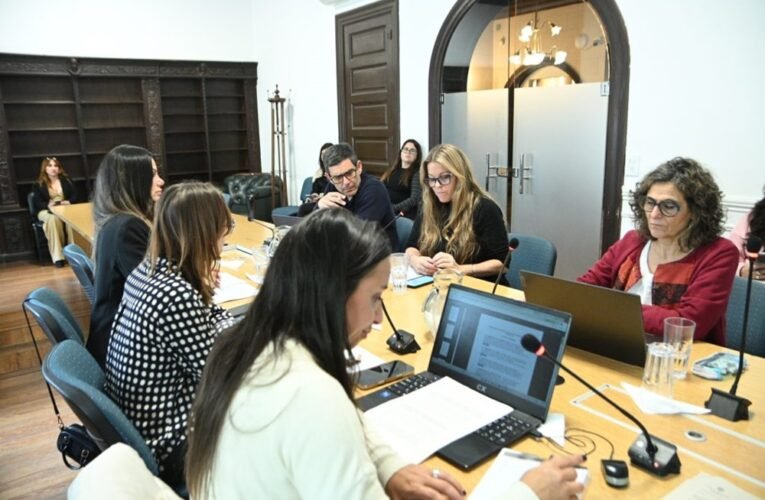 Promoción y protección de los derechos de las personas mayores